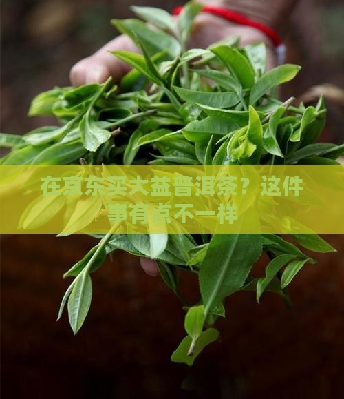 京东上买大益普洱茶
