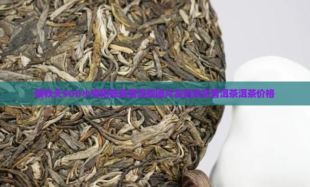 硕秋陈皮普洱茶