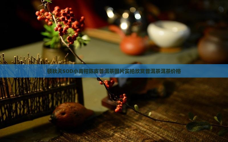 硕秋陈皮普洱茶