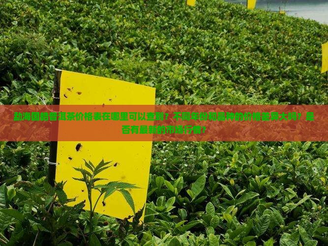 勐海国皓普洱茶价格表