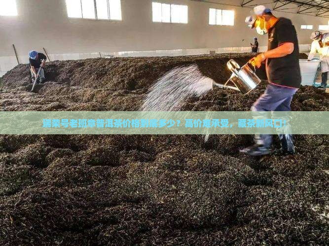 瑞荣号老班章普洱茶价格