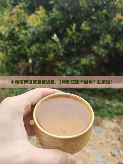 小青柑普洱茶单独袋装