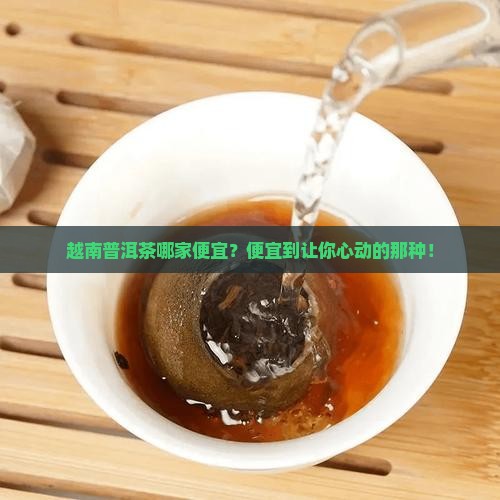 越南普洱茶哪里最便宜