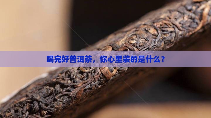 好普洱茶喝后的形容