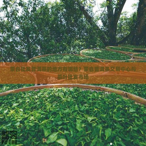 蒙自批发普洱茶的地方