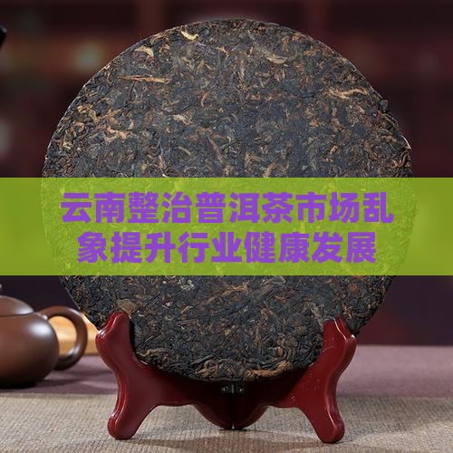 云南普洱茶整治