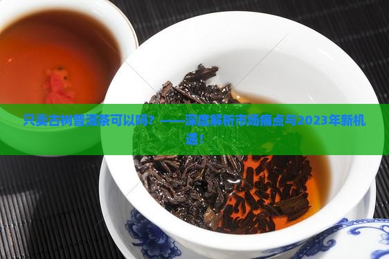 只卖古树普洱茶可以吗现在