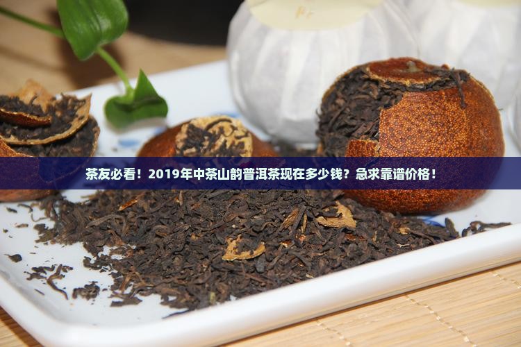 中茶山韵普洱茶2019价格