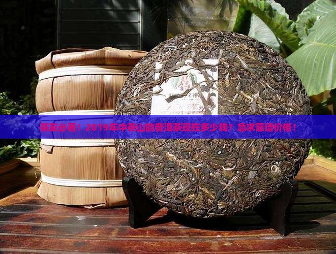 中茶山韵普洱茶2019价格