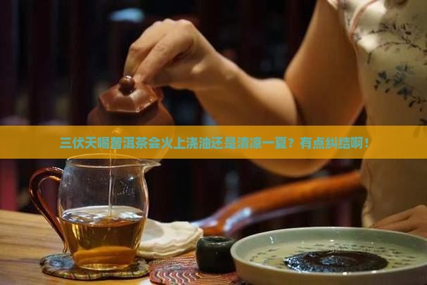 请问三伏天可以喝普洱茶吗