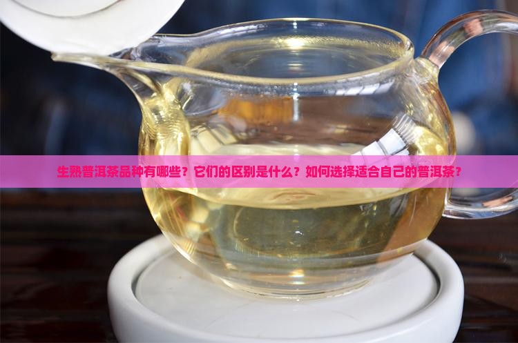 生熟普洱茶品种