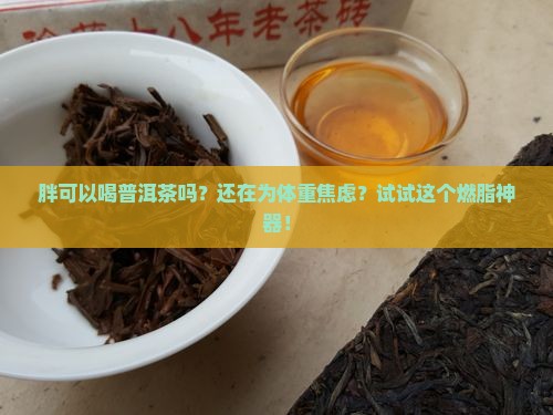胖可以喝普洱茶吗