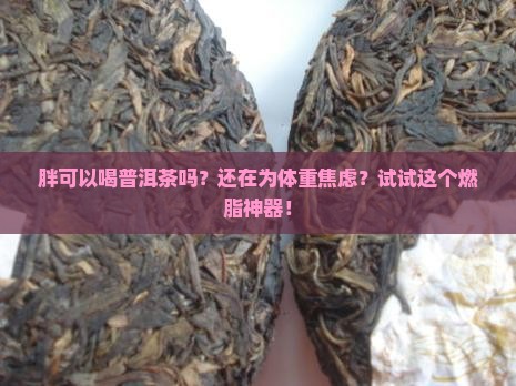 胖可以喝普洱茶吗