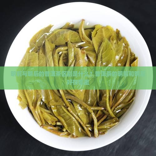 古树普洱茶明前好还是明后好呢