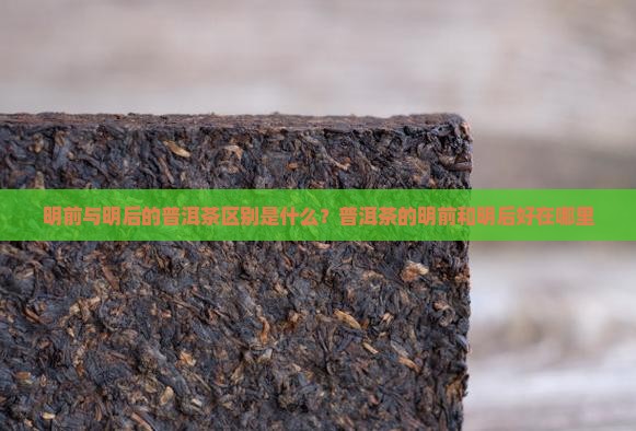 古树普洱茶明前好还是明后好呢