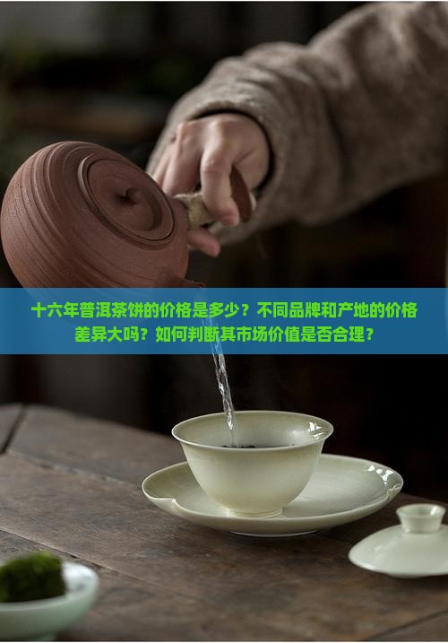 十六年普洱茶饼价格多少钱