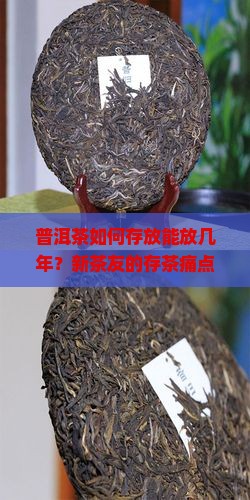 普洱茶如何存放能放几年