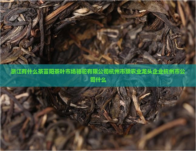 浙江有什么茶富阳茶叶市场