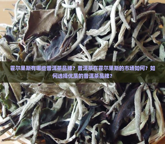 霍尔果斯普洱茶品牌