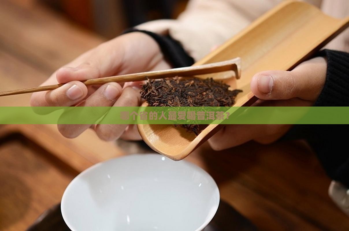全国喝普洱茶最多的省份