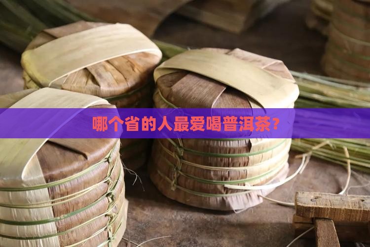 全国喝普洱茶最多的省份