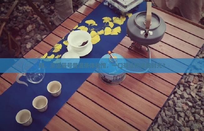 语辰号普洱茶体验馆