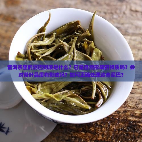 普洱茶里的泥巴是什么做的