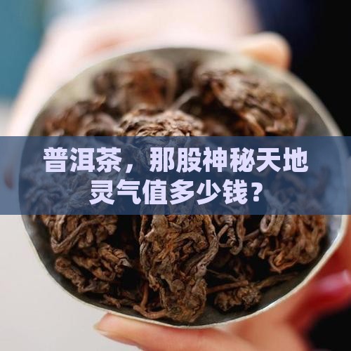 天地灵气普洱茶价格