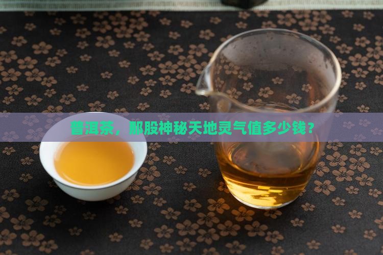 天地灵气普洱茶价格