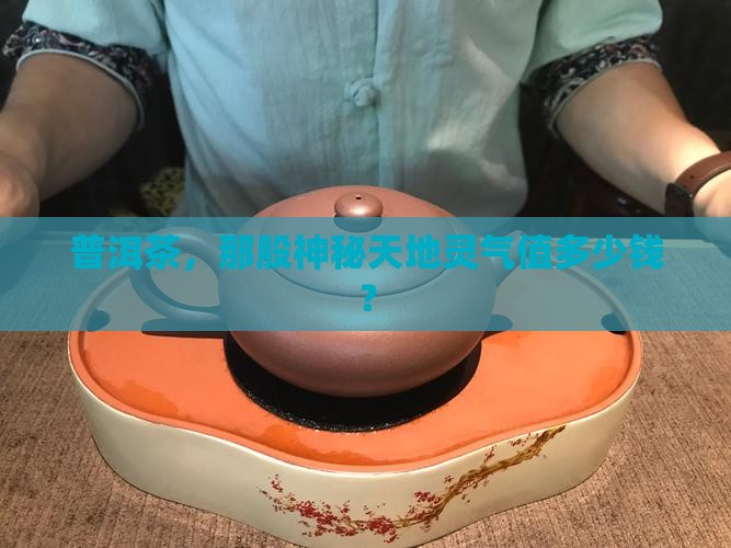天地灵气普洱茶价格