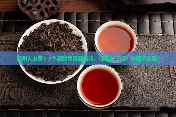 潮州普洱茶品牌