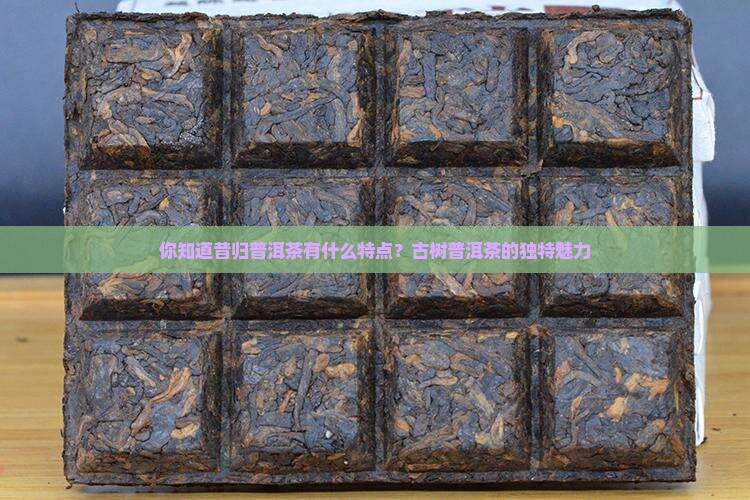 你知道昔归茶有什么特点吗