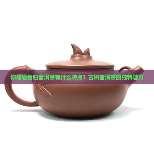 你知道昔归茶有什么特点吗