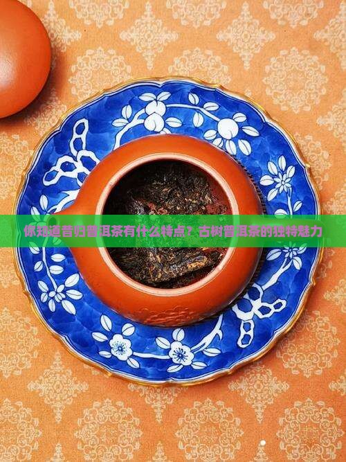 你知道昔归茶有什么特点吗