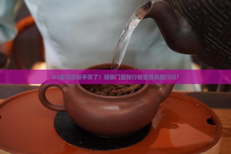 绿茶门面做普洱茶好吗