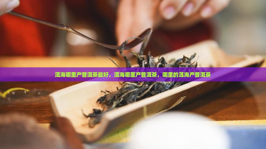 洱海哪里产普洱茶