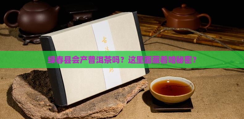 绿春县生产普洱茶吗