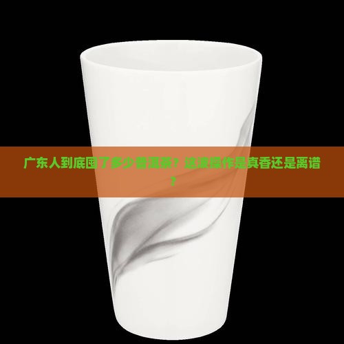 广东储存普洱茶总量