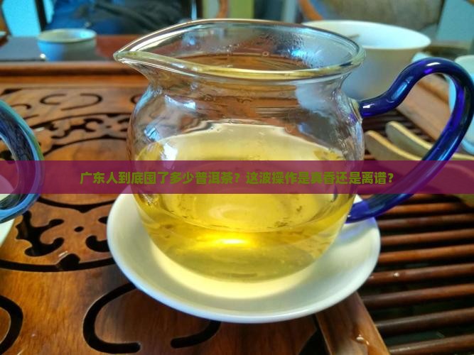广东储存普洱茶总量
