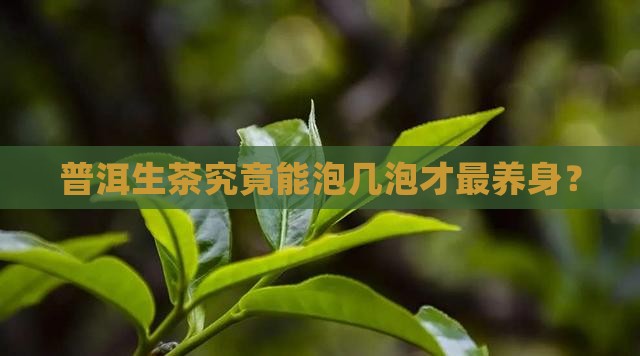 普洱生茶泡几泡健康