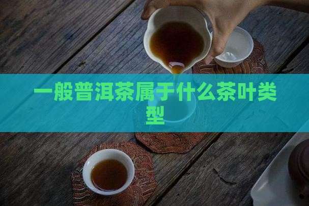 一般普洱茶是什么茶叶类型