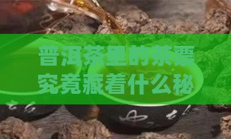 普洱茶的茶票是什么