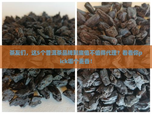 值得代理的普洱茶品牌有哪些