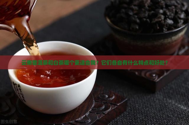 云南普洱茶和白茶哪个好