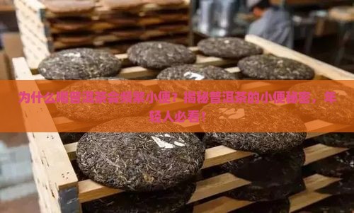 喝普洱茶肯小便