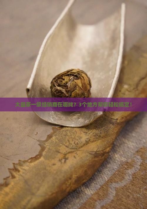大益茶一级经销商名录