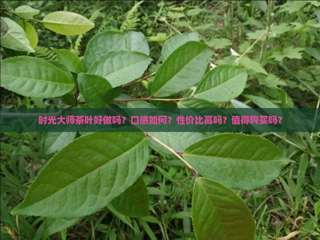 时光大师茶叶好做吗