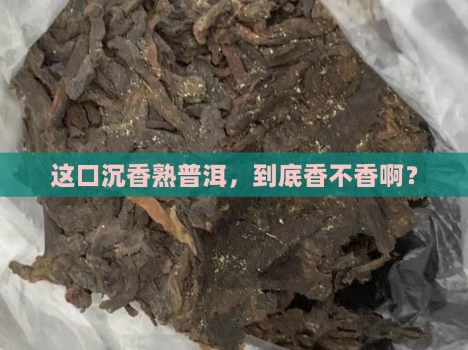 沉香熟普洱茶好吗