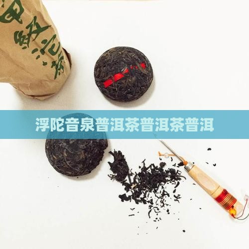 浮陀音泉普洱茶