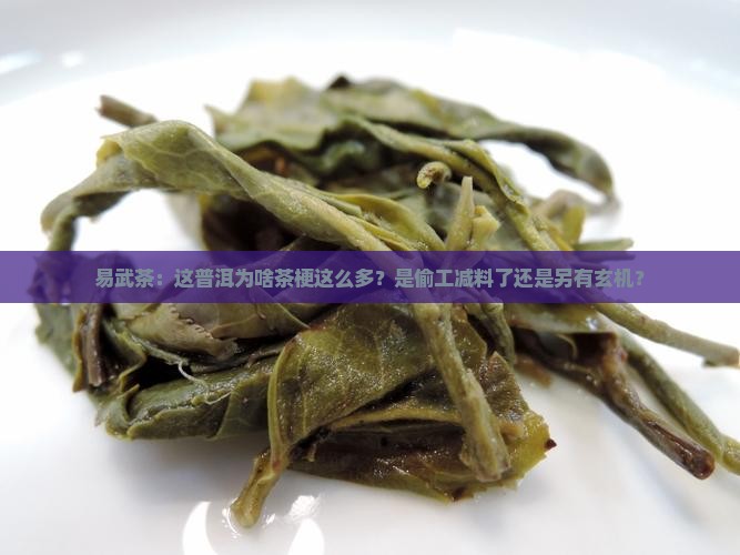 易武茶普洱茶梗多